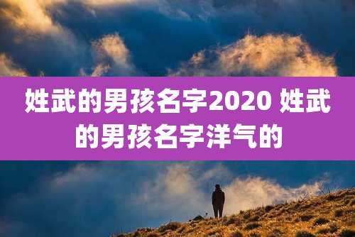 姓武的男孩名字2020 姓武的男孩名字洋气的
