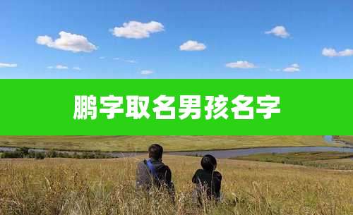 鹏字取名男孩名字