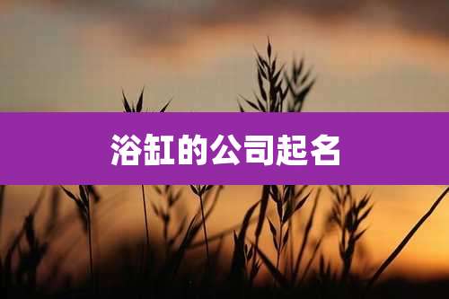 浴缸的公司起名