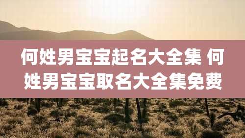 何姓男宝宝起名大全集 何姓男宝宝取名大全集免费