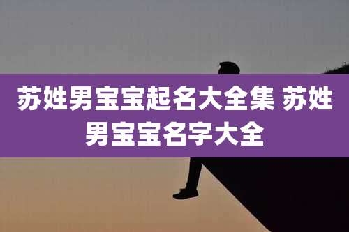 苏姓男宝宝起名大全集 苏姓男宝宝名字大全