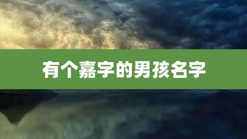 有个嘉字的男孩名字
