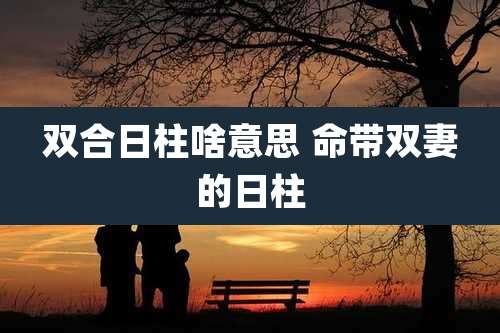 双合日柱啥意思 命带双妻的日柱