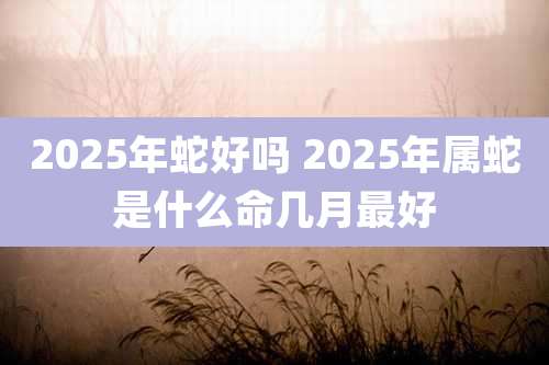 2025年蛇好吗 2025年属蛇是什么命几月最好