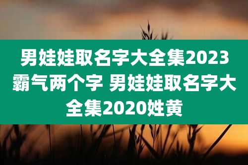 男娃娃取名字大全集2023霸气两个字 男娃娃取名字大全集2020姓黄