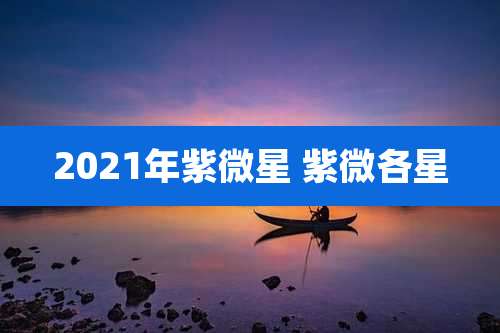 2021年紫微星 紫微各星