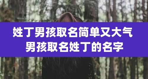 姓丁男孩取名简单又大气 男孩取名姓丁的名字