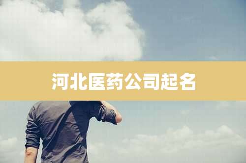 河北医药公司起名