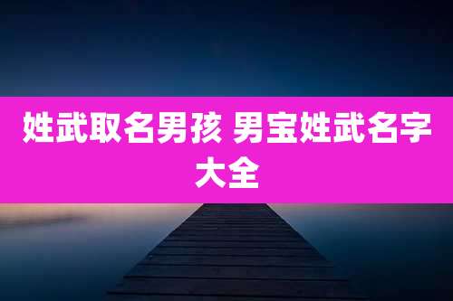 姓武取名男孩 男宝姓武名字大全