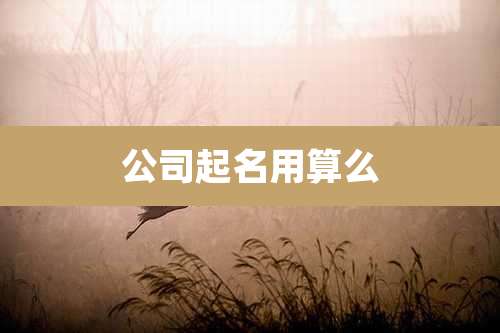 公司起名用算么