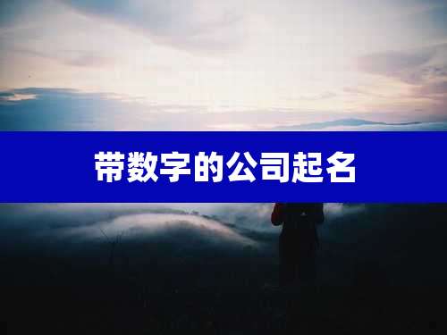 带数字的公司起名