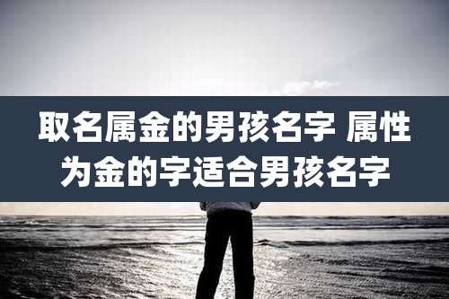 取名属金的男孩名字 属性为金的字适合男孩名字