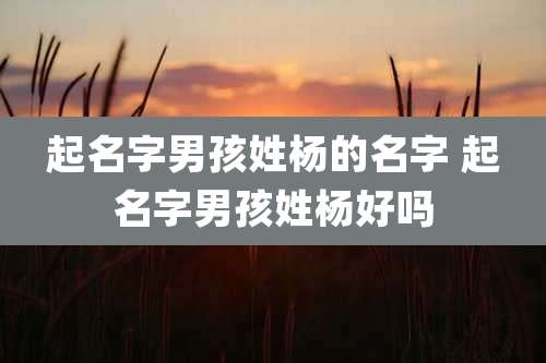 起名字男孩姓杨的名字 起名字男孩姓杨好吗