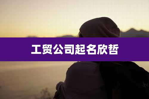 工贸公司起名欣哲