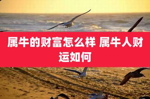 属牛的财富怎么样 属牛人财运如何