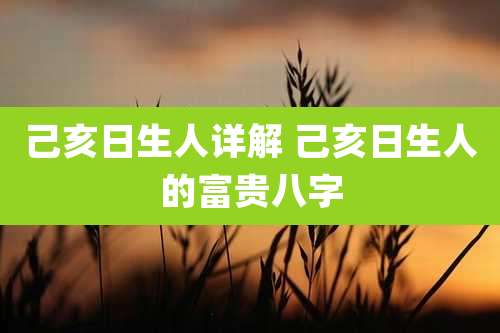 己亥日生人详解 己亥日生人的富贵八字