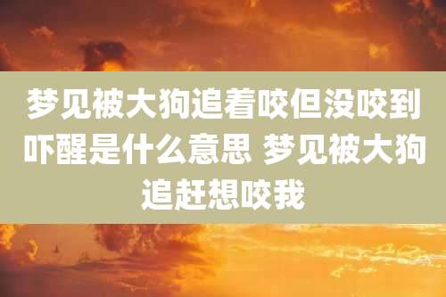 梦见被大狗追着咬但没咬到吓醒是什么意思 梦见被大狗追赶想咬我