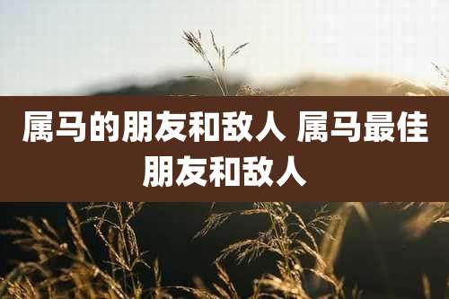 属马的朋友和敌人 属马最佳朋友和敌人