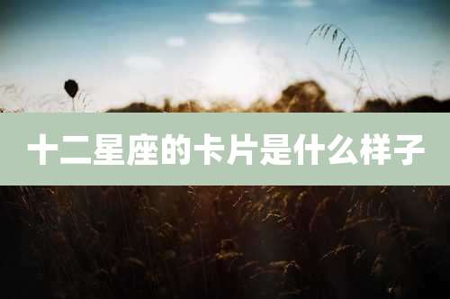 十二星座的卡片是什么样子