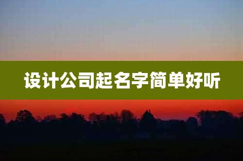 设计公司起名字简单好听