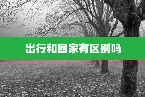 出行和回家有区别吗
