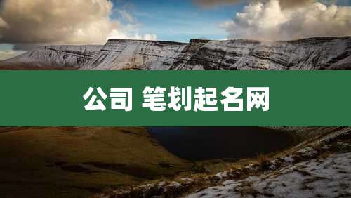 公司 笔划起名网