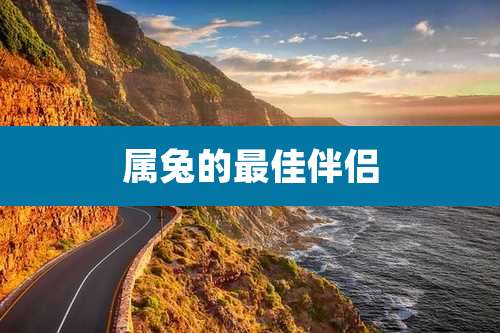 属兔的最佳伴侣