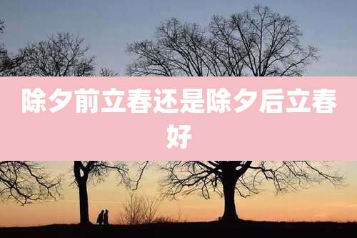 除夕前立春还是除夕后立春好
