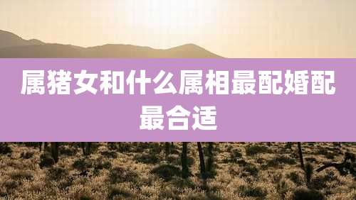 属猪女和什么属相最配婚配最合适