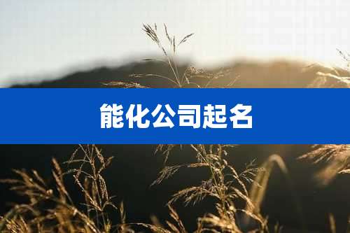 能化公司起名