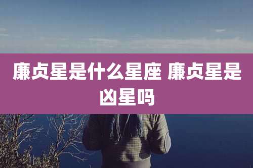 廉贞星是什么星座 廉贞星是凶星吗