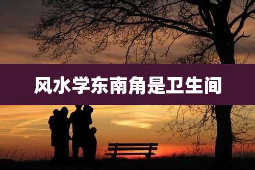 风水学东南角是卫生间