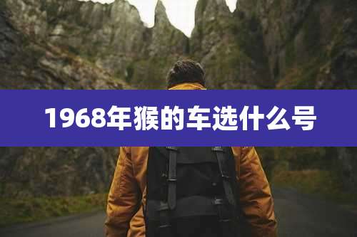 1968年猴的车选什么号