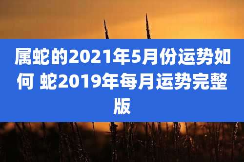 属蛇的2021年5月份运势如何 蛇2019年每月运势完整版