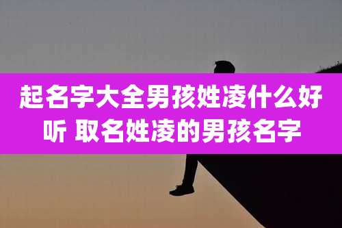 起名字大全男孩姓凌什么好听 取名姓凌的男孩名字