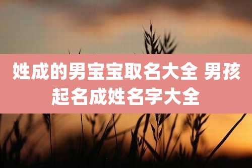 姓成的男宝宝取名大全 男孩起名成姓名字大全