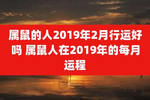 属鼠的人2019年2月行运好吗 属鼠人在2019年的每月运程