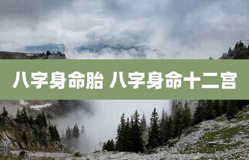 八字身命胎 八字身命十二宫