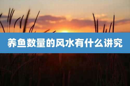 养鱼数量的风水有什么讲究