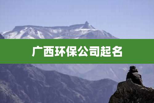 广西环保公司起名