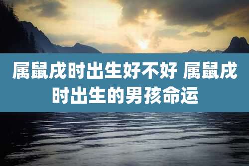 属鼠戌时出生好不好 属鼠戌时出生的男孩命运