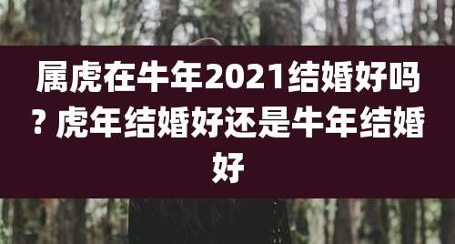 属虎在牛年2021结婚好吗? 虎年结婚好还是牛年结婚好