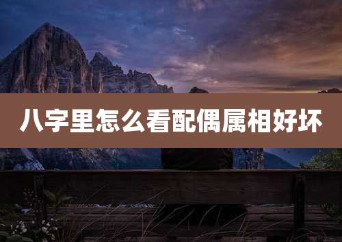 八字里怎么看配偶属相好坏