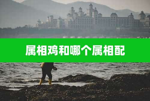 属相鸡和哪个属相配