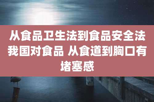 从食品卫生法到食品安全法我国对食品 从食道到胸口有堵塞感
