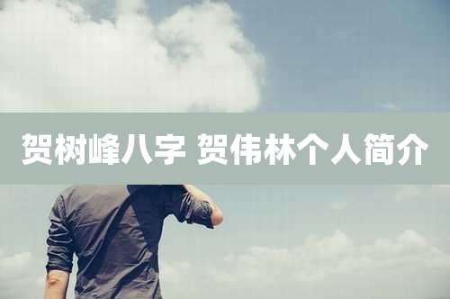 贺树峰八字 贺伟林个人简介