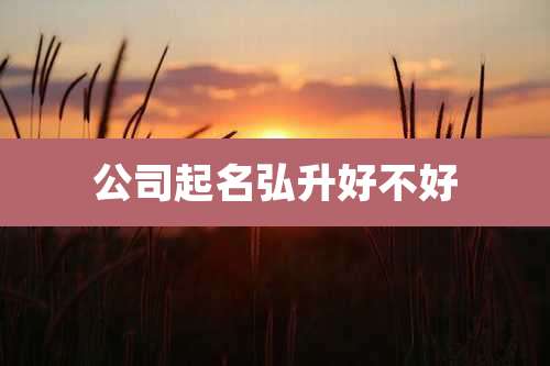 公司起名弘升好不好