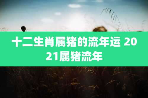 十二生肖属猪的流年运 2021属猪流年