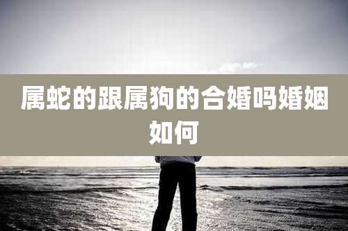 属蛇的跟属狗的合婚吗婚姻如何