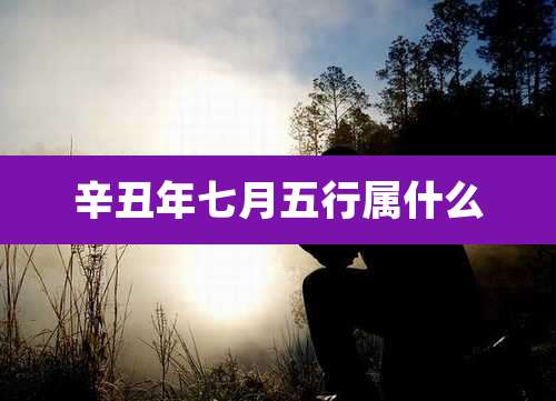 辛丑年七月五行属什么